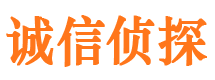 永仁市侦探调查公司